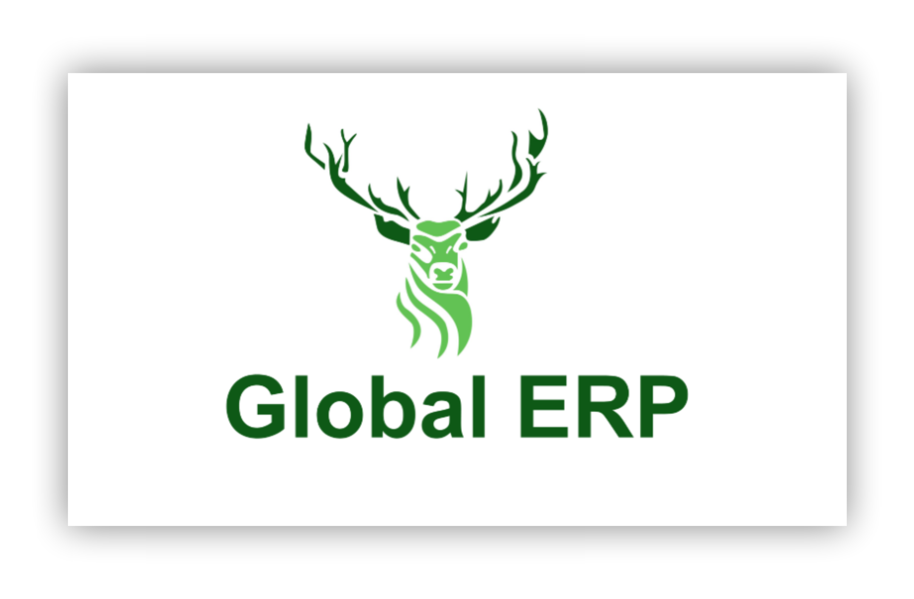 Global Erp