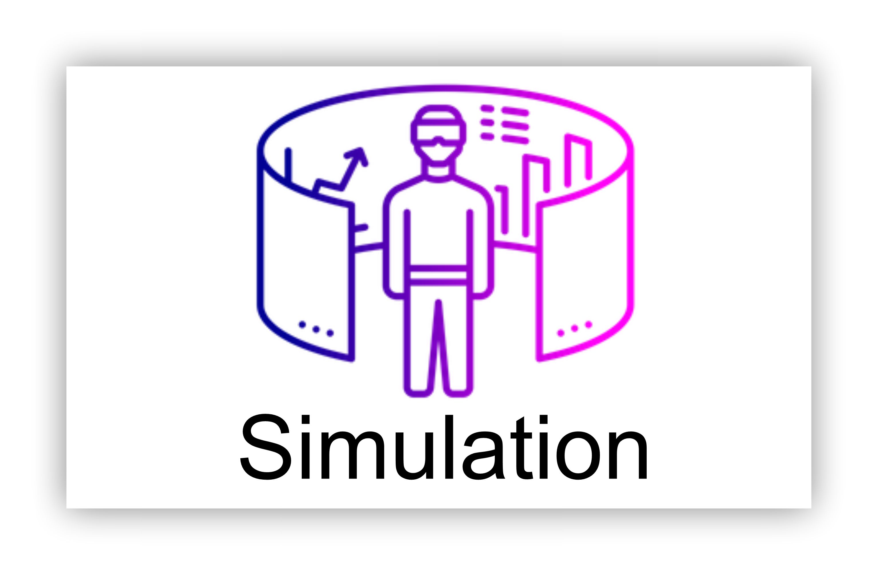 Simulation